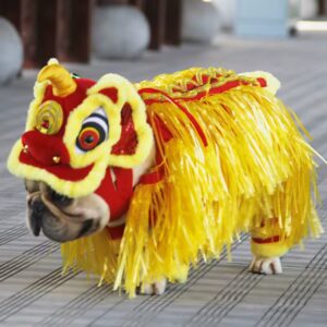 Halloween Dog Costume - New Year Dragon