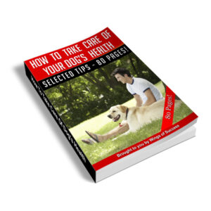 How to Take Care of Your Dog’s Health